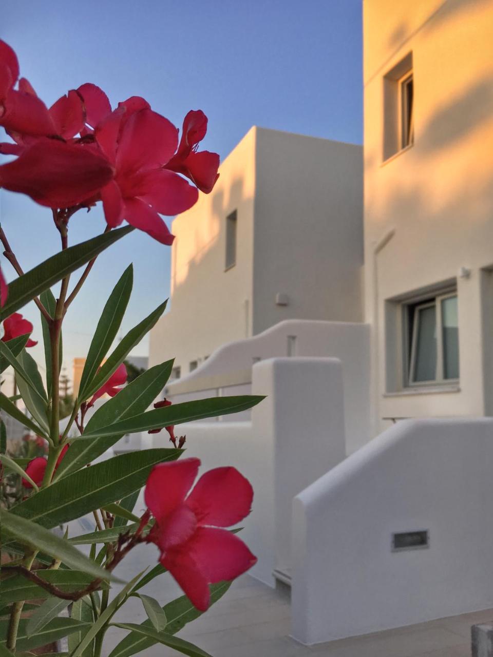 Quartano Luxury Cycladic Residence, Adults Only 纳乌萨 外观 照片